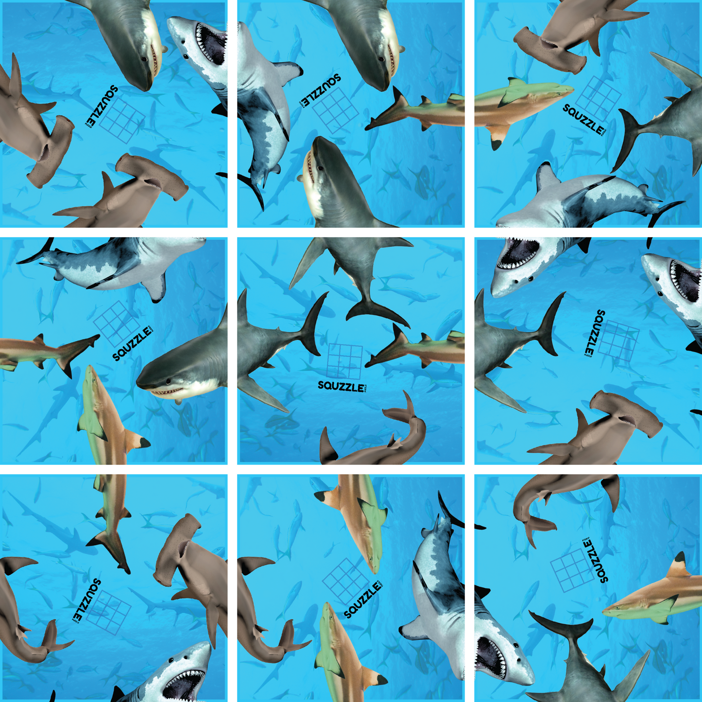 Brain Teaser (Ages 5+) Squzzle SHARKS