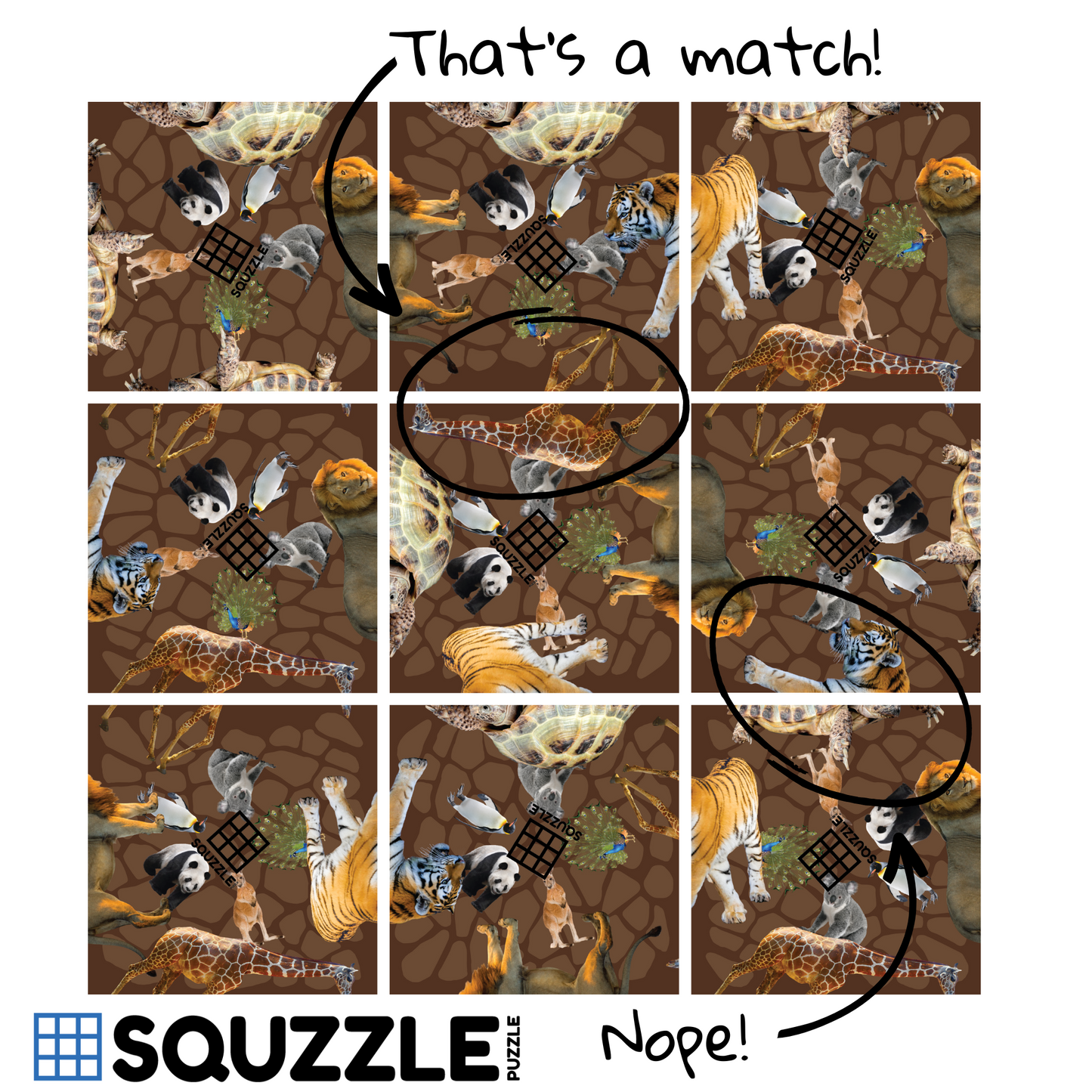 Brain Teaser (Ages 5+) Squzzle ZOO ANIMALS