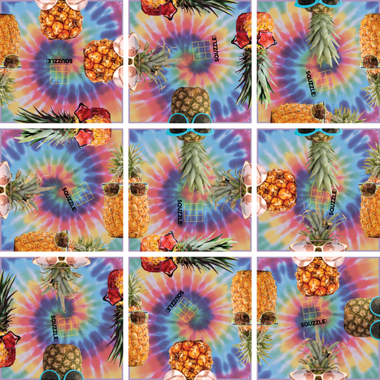 Brain Teaser (Ages 5+) Squzzle GROOVY PINEAPPLES