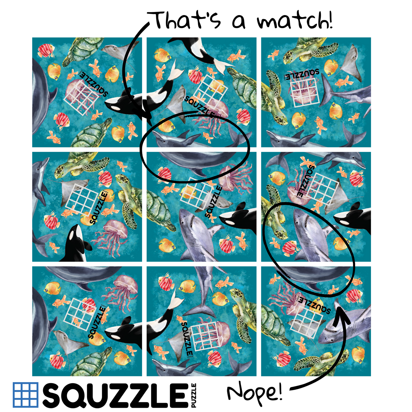 Brain Teaser (Ages 5+) Squzzle OCEAN LIFE