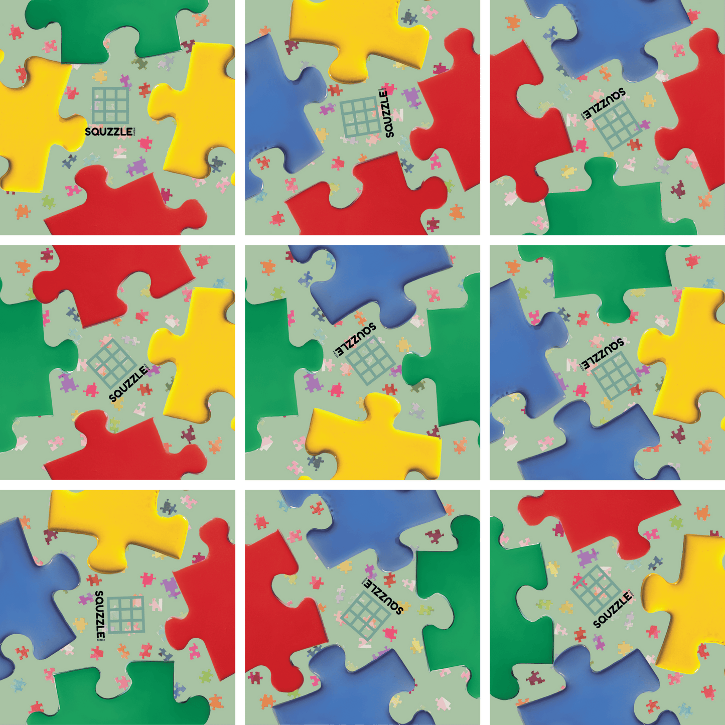 Brain Teaser (Ages 5+) Squzzle PUZZLED