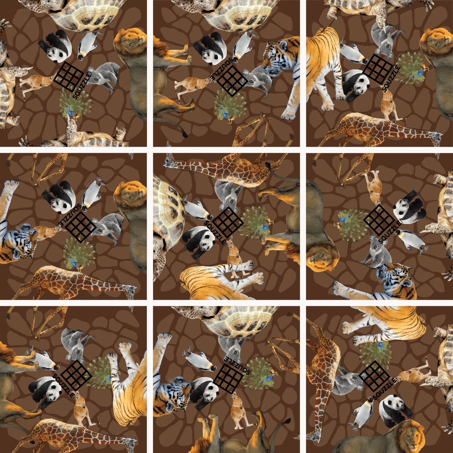 Brain Teaser (Ages 5+) Squzzle ZOO ANIMALS